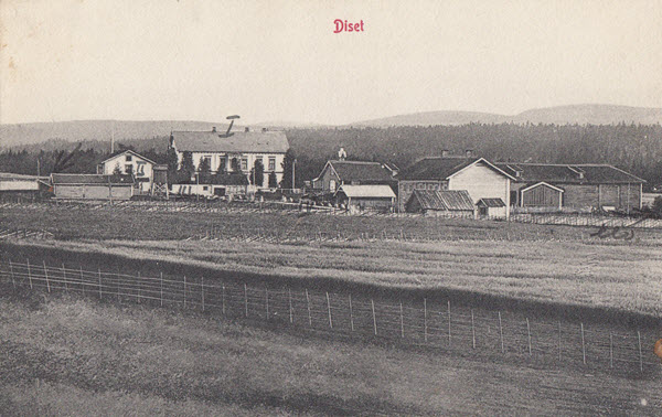Diset