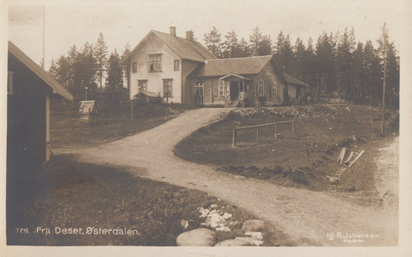 Fra Deset, Østerdalen. [Landhandleri]