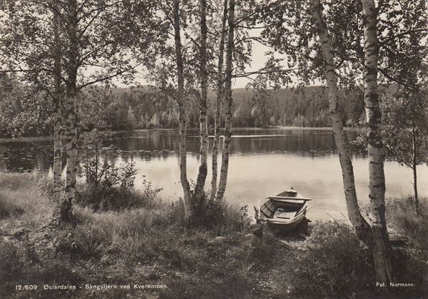 Østerdalen - Skogstjern ved Kvernmoen.