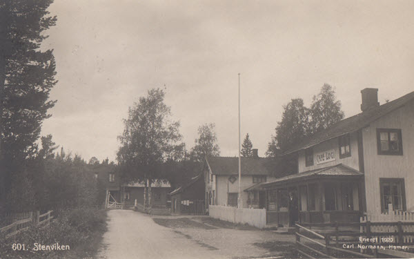 Steinviken (Enerett 1920)