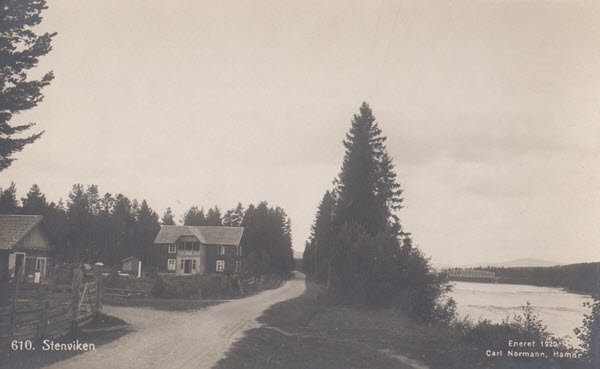 Steinviken